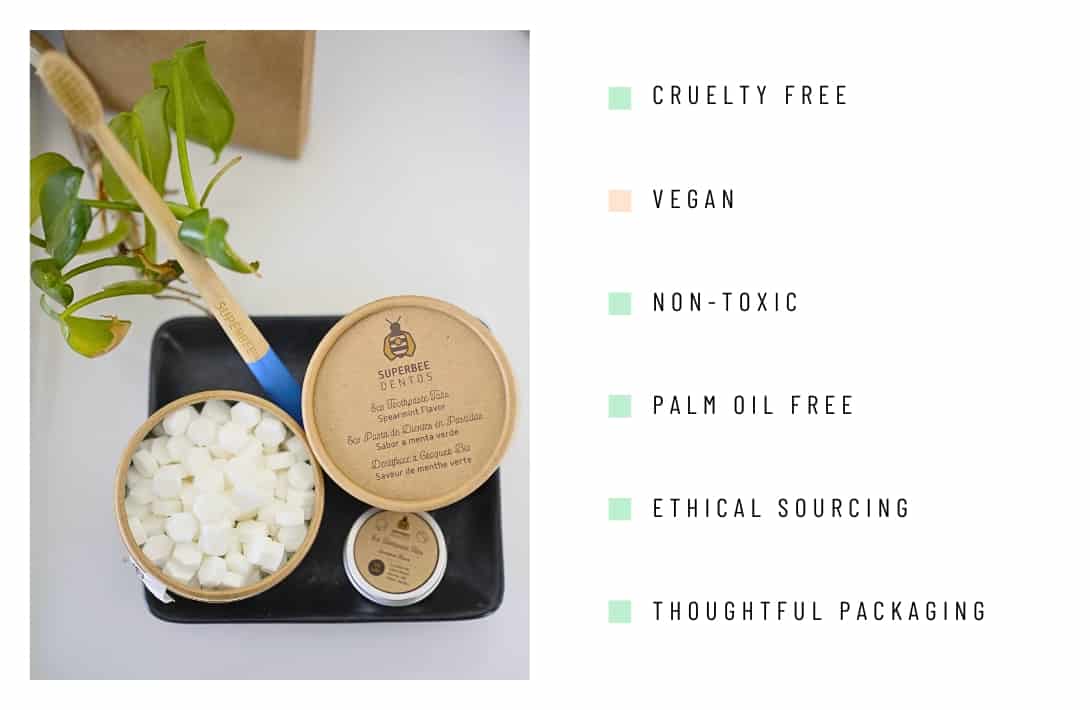 9 Cruelty-Free & Vegan Toothpaste Brands To Keep You Smiling Image by Sustainable Jungle #vegantoothpaste #bestvegantoothpaste #vegantoothpastewithfluroride #crueltyfreetoothpaste #veganandcrueltyfreetoothpaste #crueltyfreesensitivetoothpaste #sustainablejungle