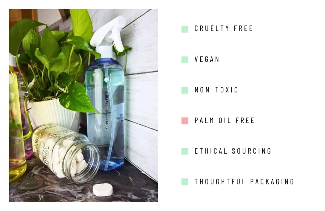 9 Safe & Non-Toxic Cleaning Products to Help You Green Clean Your Way to Sparkling Spaces Image by Sustainable Jungle #nontoxiccleaningproducts #nontoxiccleaningbrands #nontoxiccleaners #nontoxichouseholdcleaners #safecleaningproducts #safestcleaningproducts #sustainablejungle