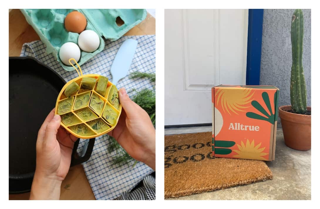 17 Sustainable Subscription Boxes Delivering Green Goodies & Eco-Friendly Essentials Images by Alltrue #sustainablesubscriptionbox #bestsustainablesubscriptionboxes #sustainablelifestylesubscriptionboxes #ecofriendlysubscriptionboxes #subscriptionboxecofriendly #sustainablejungle