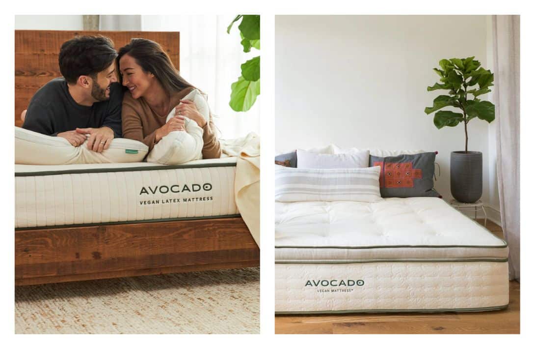 7 Verified Vegan Mattresses For Plush, Plant-Based Comfort Images by Avocado #veganmattress #veganmattressbrands #bestveganmattresses #organicveganmattress #avocadoveganmattress#plantbasedmattress #sustainablejungle