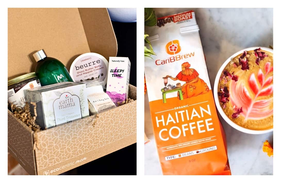 17 Sustainable Subscription Boxes Delivering Green Goodies & Eco-Friendly Essentials Images by Ecocentric Mom #sustainablesubscriptionbox #bestsustainablesubscriptionboxes #sustainablelifestylesubscriptionboxes #ecofriendlysubscriptionboxes #subscriptionboxecofriendly #sustainablejungle