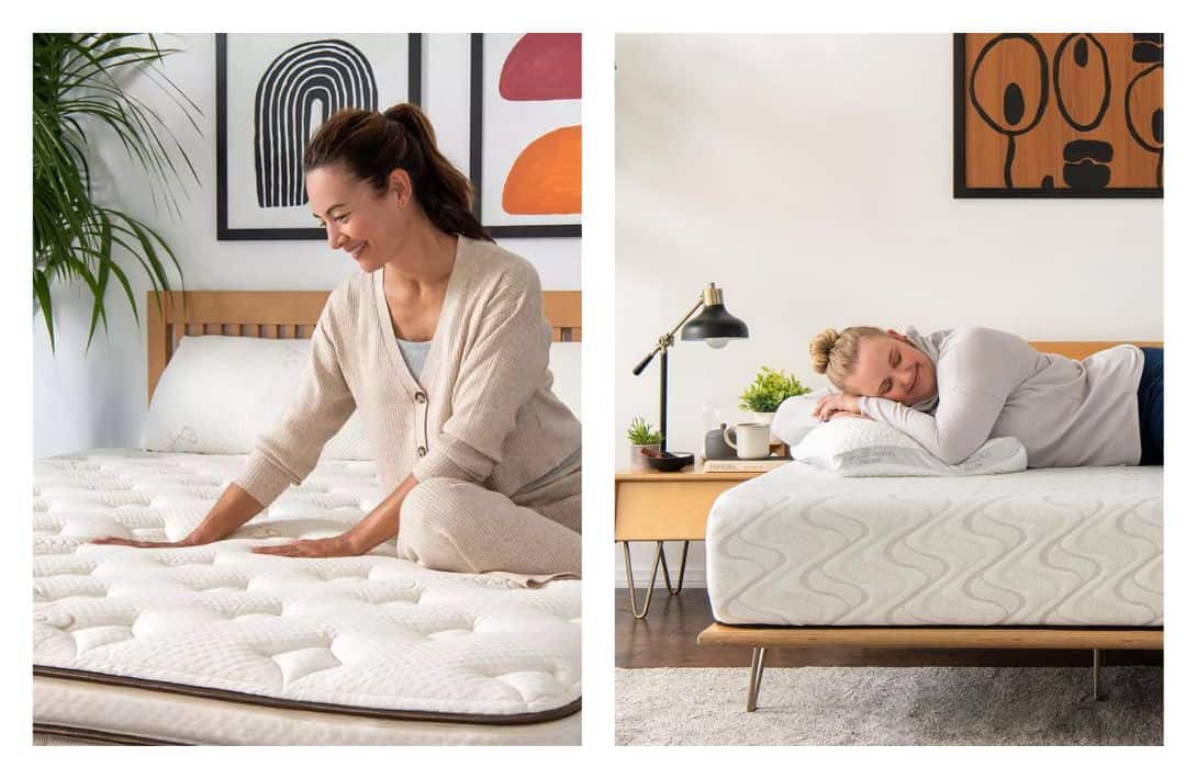 7 Verified Vegan Mattresses For Plush, Plant-Based Comfort Images by Nest Bedding #veganmattress #veganmattressbrands #bestveganmattresses #organicveganmattress #avocadoveganmattress#plantbasedmattress #sustainablejungle