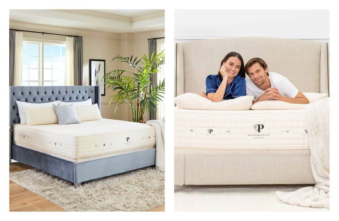 7 Verified Vegan Mattresses For Plush, Plant-Based Comfort Images by PlushBeds #veganmattress #veganmattressbrands #bestveganmattresses #organicveganmattress #avocadoveganmattress#plantbasedmattress #sustainablejungle