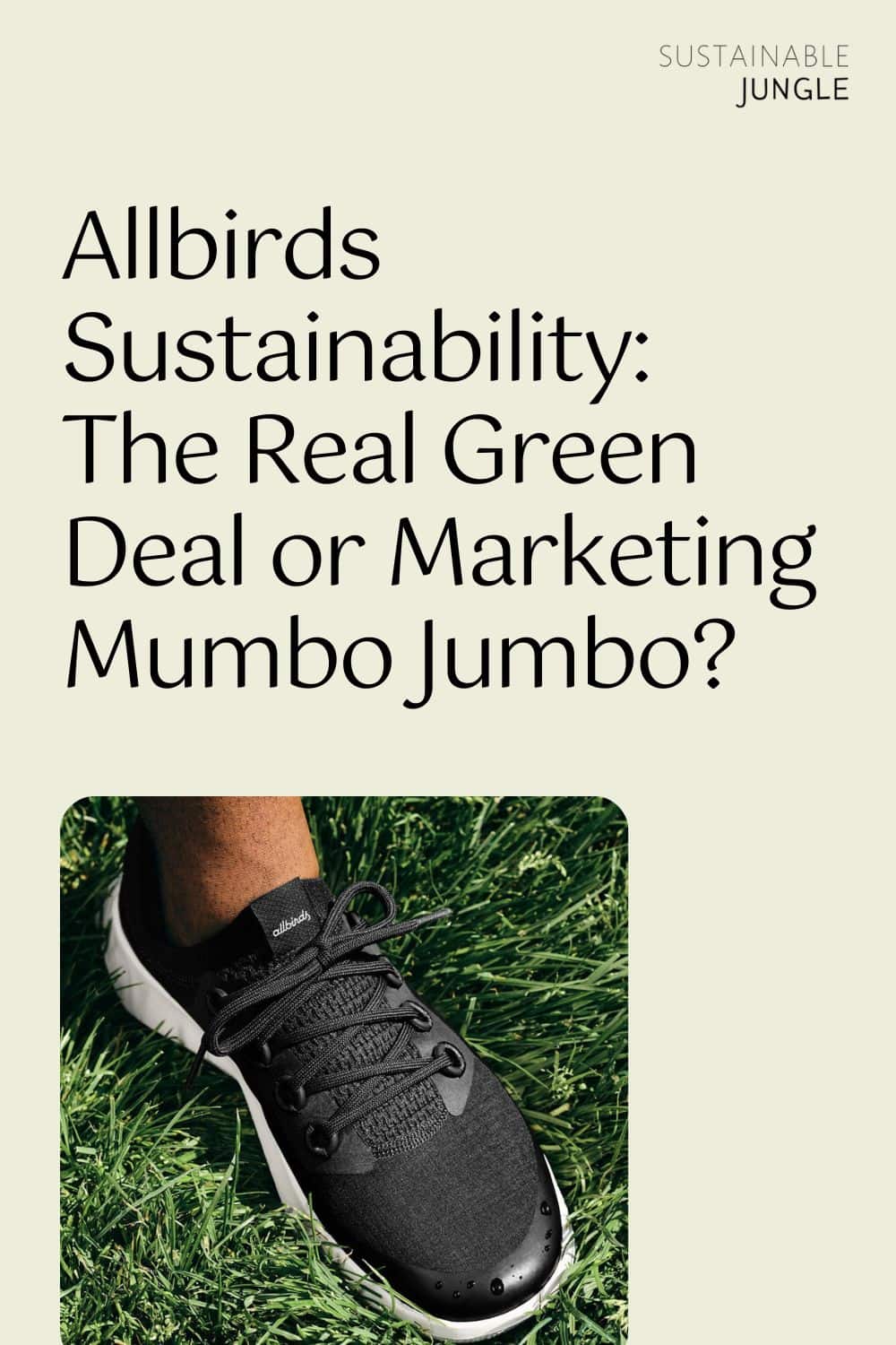 Allbirds sustainability hotsell report