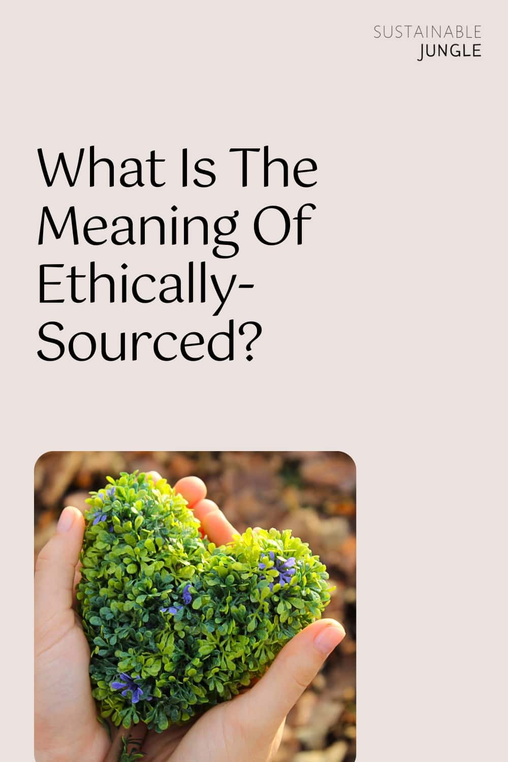 What Is The Meaning Of Ethically-Sourced? Image by zmaj88 #ethicallysourced #whatdoesethicallysourcedmean #ethicalsourcing #whatisethicalsourcing #ethicalsourcingdefinition #ethicalsourcingexamples #sustainablejungle