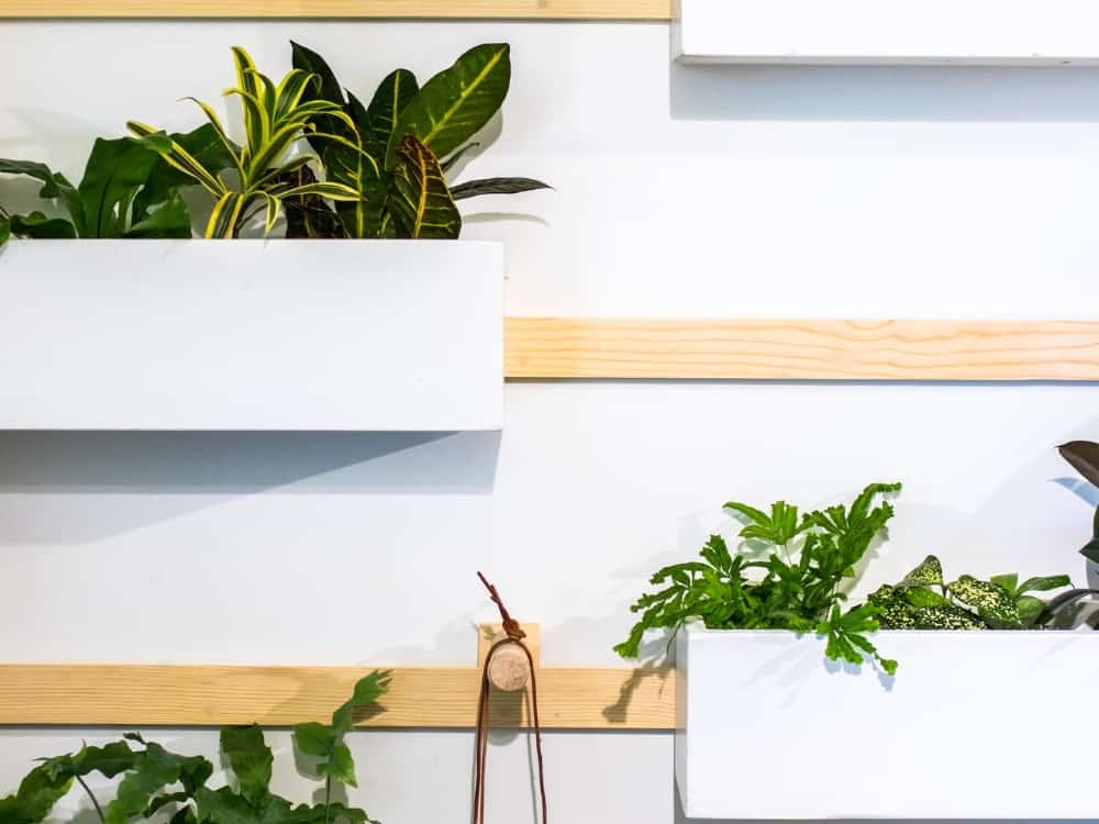 Bringing Nature Home With The Power of Biophilic Design Image by Jason Leung #biophilicdesign #whatisbiophilicdesign #biophilicdesignexamples #biophilicinteriordesign #biophilicarchitecture #sustainablejungle