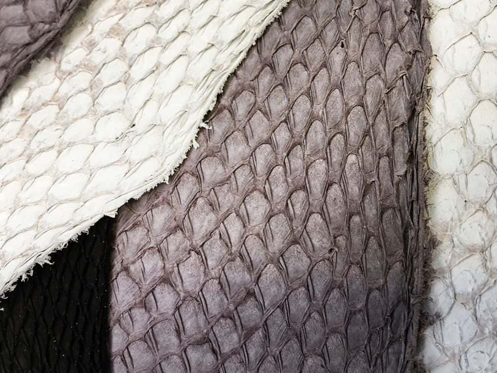 Fish Leather Sustainability: Fin-Tastic or Totally Fishy? Image by Nordic Fish Leather #fishleather #whatisfishleather #isfishleathersustainable #fishleatherproducts #fishskinleather #fishscaleleather #sustainablejungle