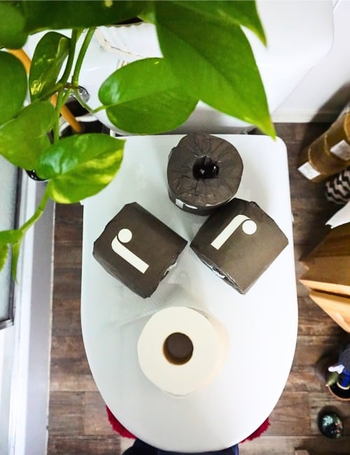 9 Best Bamboo Toilet Paper Brands for Bam-Boo-tiful Bum Wipes Image by Sustainable Jungle #bestbambootoiletpaper #bambootoiletpaperreview #bambootoiletpaperbrands #bestbambootoiletpapersubscription #organicbambootoiletpaper #sustainablejungle