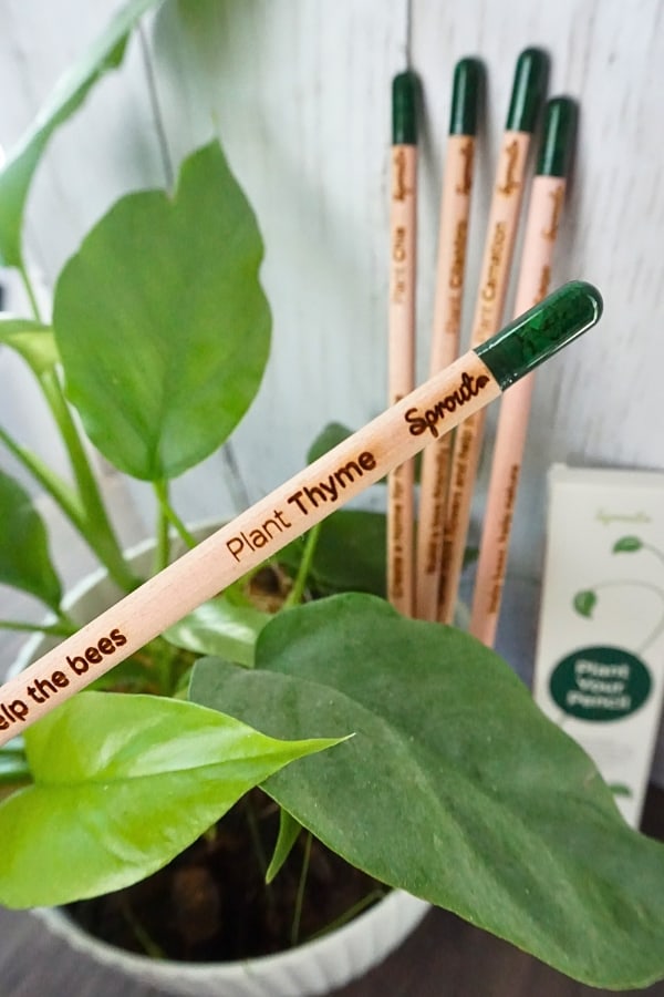 9 Reusable & Eco-Friendly Pens—Write Without Writing OFF Our Planet Image by Sustainable Jungle #ecofriendlypens #ecofriendlypensandpencils #bestecofriendlypens #reusablepens #sustainablepens #plasticfreepens