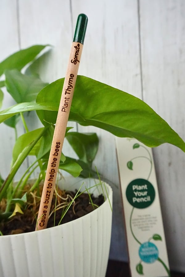 49 Zero Waste Products We Think You’ll Love Image by Sustainable Jungle #zerowasteproducts #sustainablejungle