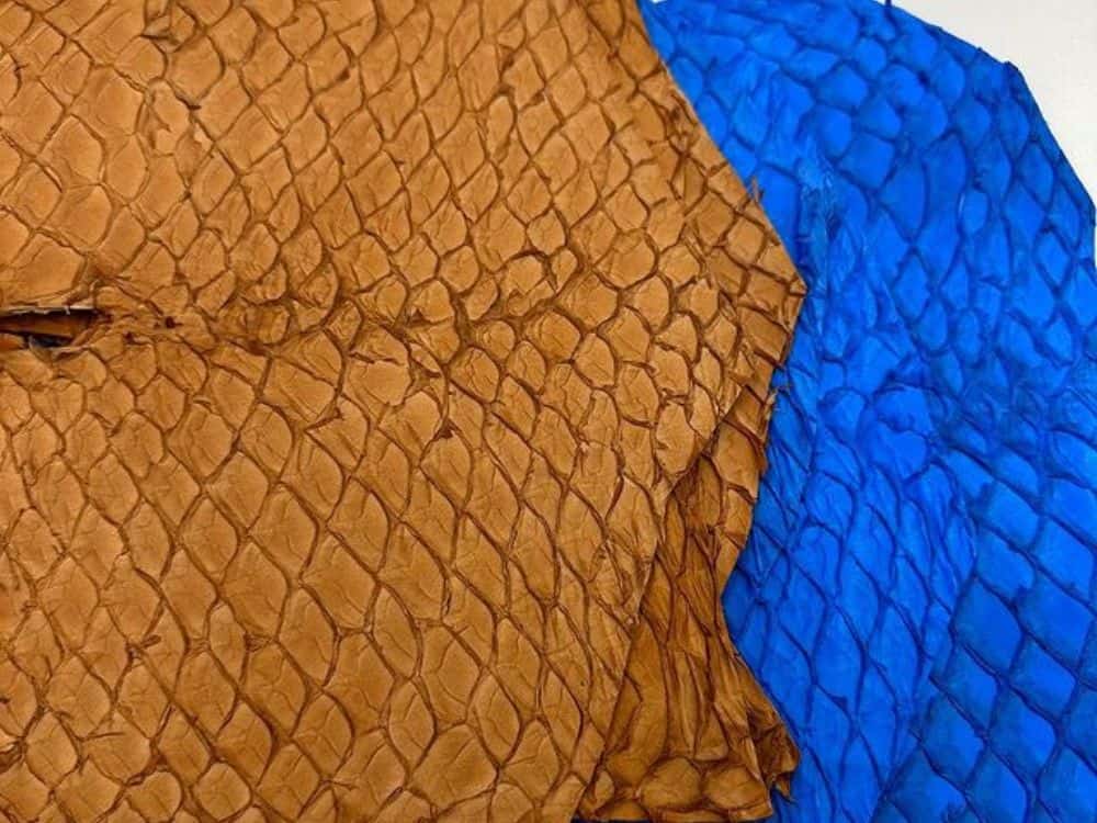 Fish Leather Sustainability: Fin-Tastic or Totally Fishy? Image by inversa #fishleather #whatisfishleather #isfishleathersustainable #fishleatherproducts #fishskinleather #fishscaleleather #sustainablejungle