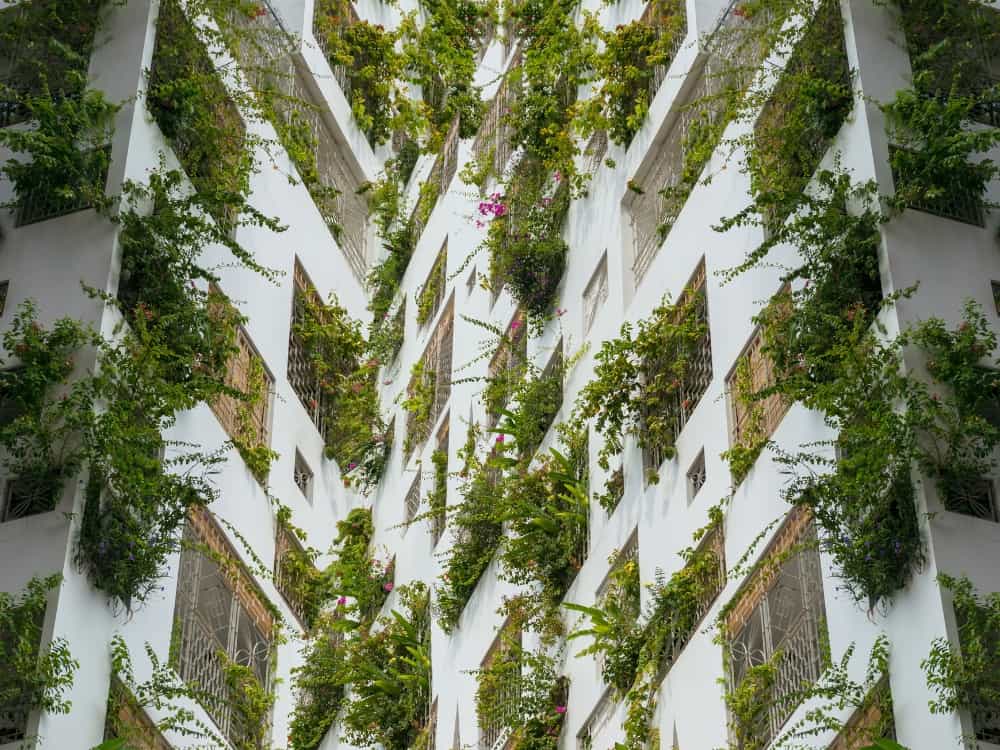 Bringing Nature Home With The Power of Biophilic Design Image by katharina13 #biophilicdesign #whatisbiophilicdesign #biophilicdesignexamples #biophilicinteriordesign #biophilicarchitecture #sustainablejungle