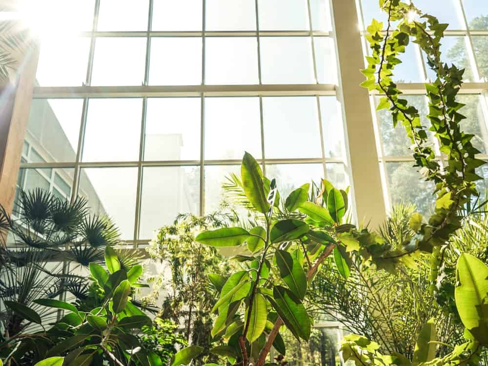 Bringing Nature Home With The Power of Biophilic Design Image by tatiana maksimova #biophilicdesign #whatisbiophilicdesign #biophilicdesignexamples #biophilicinteriordesign #biophilicarchitecture #sustainablejungle