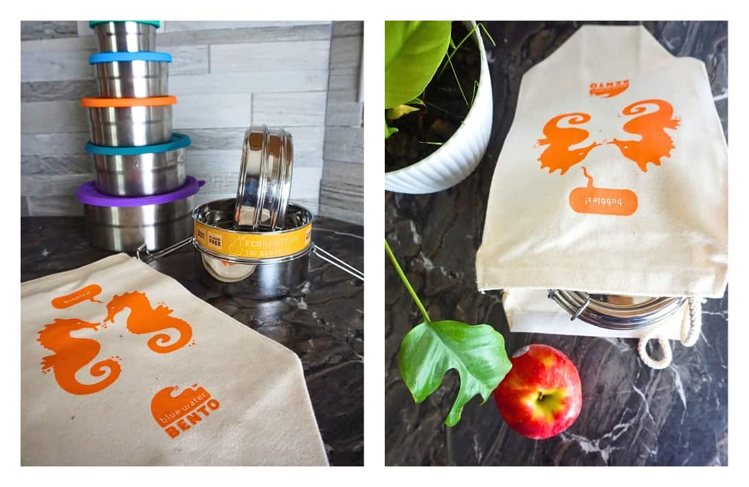 11 Eco-Friendly Alternatives to Ziploc Bags For All Your Snack Storage Needs Images by Sustainable Jungle #alternativestoziplocbags #ziplocbagalternatives #alternativestoziplockfreezerbags #zerowasteziplockbagalternatives #ecofriendlyziplockbagalternatives #ecofriendlyziplockbags #sustainablejungle