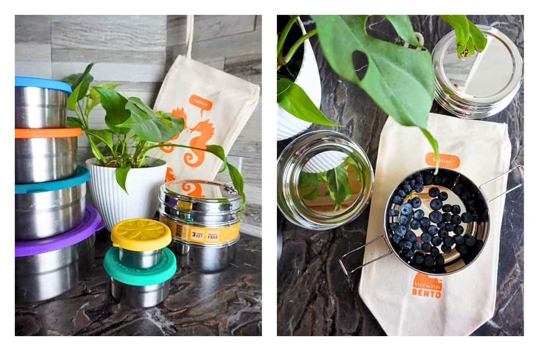 13 Plastic-Free Food Storage Containers That Will Make You The Envy Of The Lunchroom Images by Sustainable Jungle #plasticfreefoodstorage #plasticfreefoodstoragecontainers #nonplasticfoodstorage #bestnonplasticfoodstoragecontainers #plasticfreetupperware #nonplastictupperware #sustainablejungle