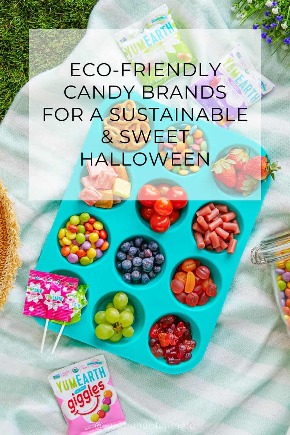 Eco-Friendly Candy Brands For A Sustainable & Sweet Halloween Image by YumEarth #ecofriendlycandy #ecofriendlyhalloweencandy #sustainablecandy #sustainablehalloweencandy #ecofriendlycandypackaging #sustainablecandywrappers #sustainablejungle