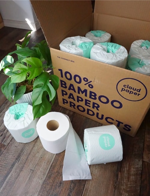 Zero Waste Toilet Paper: 9 Plastic-Free Alternatives Wiping Away Bathroom Waste Image by Sustainable Jungle #zerowastetoiletpaper #cantoiletpaperbezerowaste #plasticfreetoilerpaper #notoiletpaper #bestplasticfreetoiletpaper #zerowastetoiletpaperalternatives #sustainablejungle