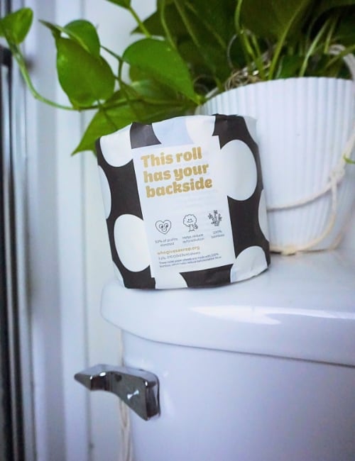 9 Eco-Friendly Toilet Paper Brands For A Planet-Friendly Potty Image by Sustainable Jungle #ecofriendlytoiletpaper #recycledtoiletpaper #sustainabletoiletpaper #ecotoiletpaper #bestecofriendlytoiletpaper #recycledtoiletpaperbrands #sustainablejungle