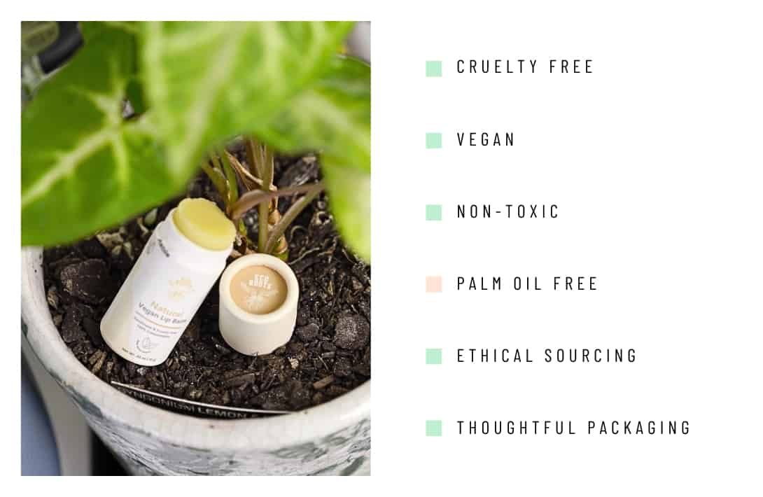 9 Organic & Natural Lip Balm Brands Kissing Chapped Lips Goodbye Image by Sustainable Jungle #naturallipbalm #naturalchapstickbrands #organiclipbalm #organicchapstick #bestnaturallipbalm #organicSPFlipbalm #sustainablejungle