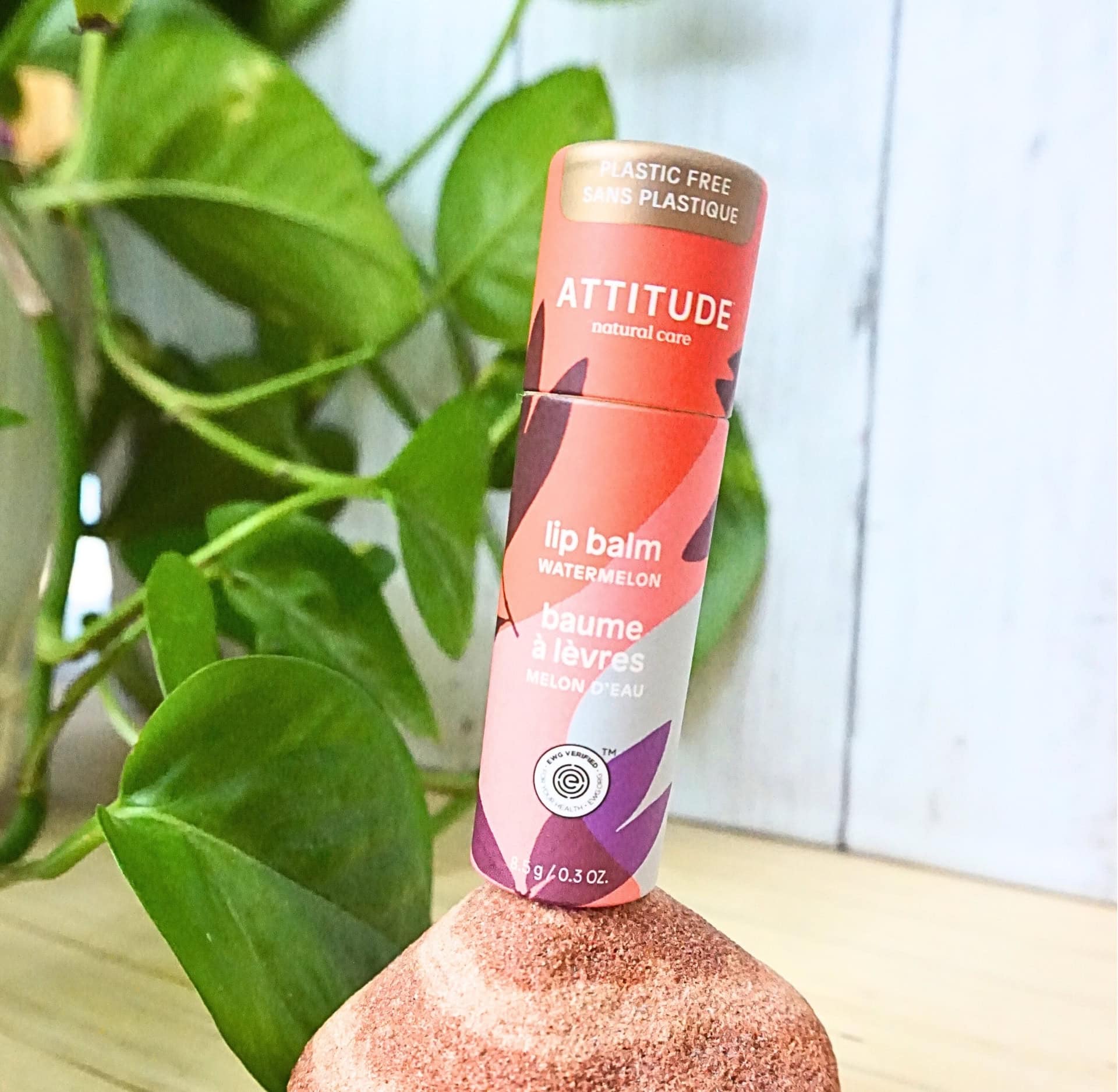 Image by Sustainable Jungle (Attitude) (sustainable-lip-balms)