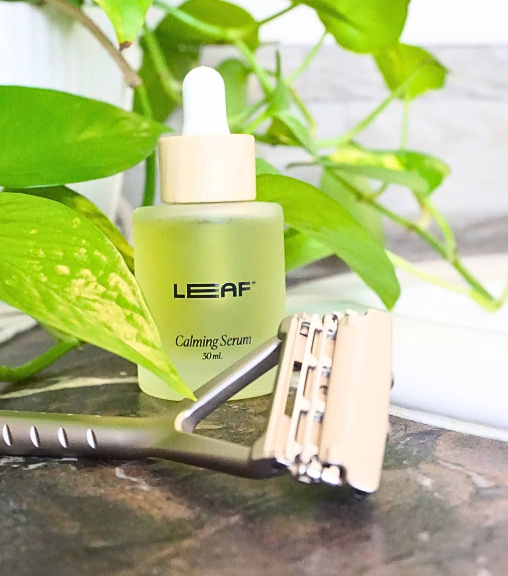 Image by Sustainable Jungle (Leaf Shave) (gifts-for-minimalists)