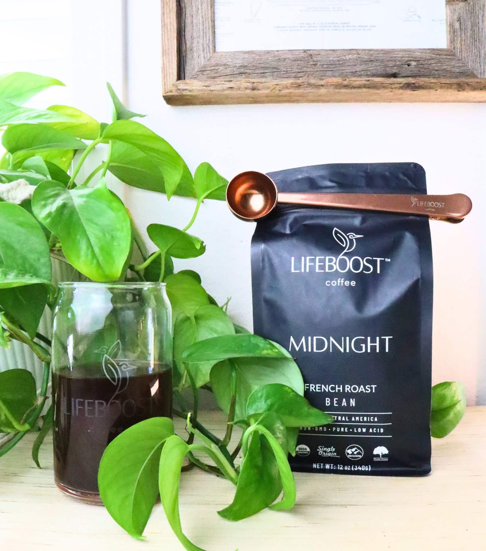 Image by Sustainable Jungle (Lifeboost Coffee) (consumable-gifts)