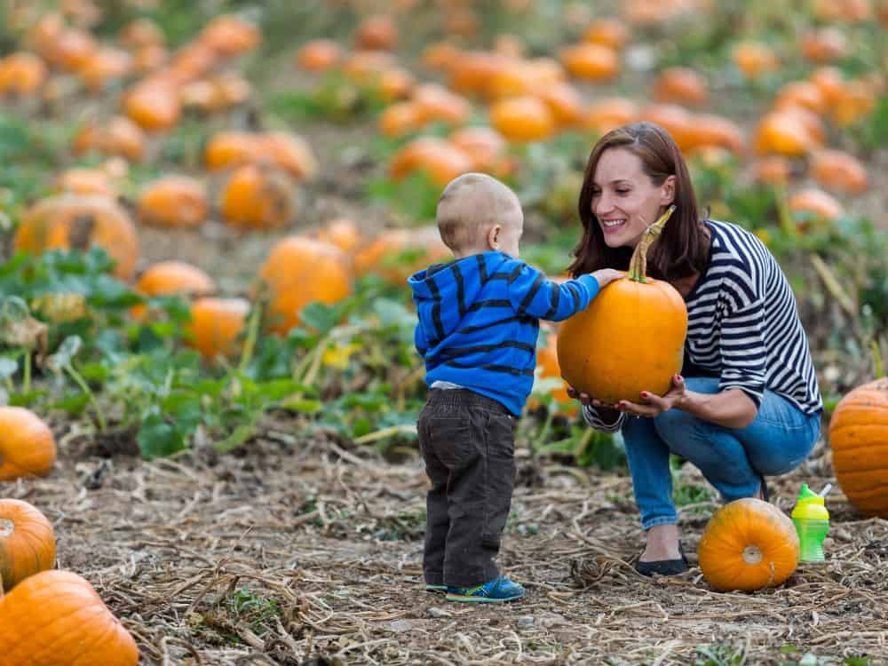 13 Sustainable Halloween Tips That Are Anything But Boo-Ring Image by arinahabich #sustainablehalloween #sustainablehalloweencostumes #sustainablehalloweentips #ecofriendlyhalloween #ecofriendlyhalloweendecoration #ecofriendlyhalloweenideas #sustainablejungle