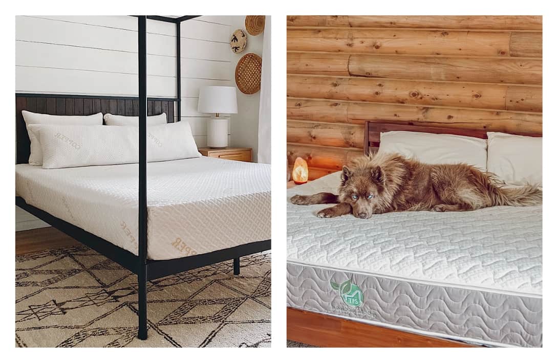 9 Eco-Friendly Mattress Brands For The Softest, Most Sustainable Sleep Images by TFS Natural Home #ecofriendlymattress #ecofriendlymattressbrands #bestecofriendlymattresses #sustainablemattressbrands #sustainablemattresses #ecofriendlyfoammattress #sustainablejungle