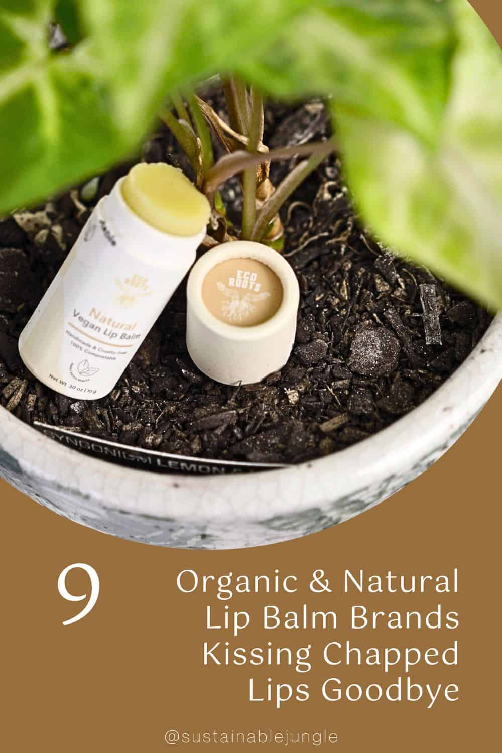 9 Organic & Natural Lip Balm Brands Kissing Chapped Lips Goodbye Image by Sustainable Jungle #naturallipbalm #naturalchapstickbrands #organiclipbalm #organicchapstick #bestnaturallipbalm #organicSPFlipbalm #sustainablejungle