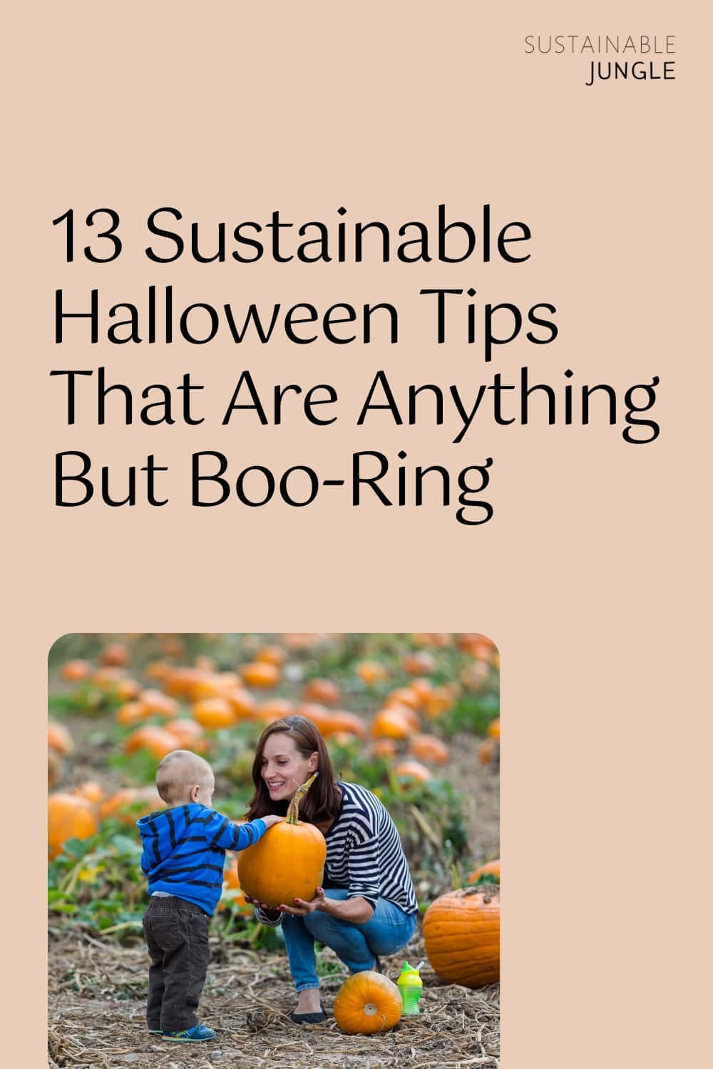 13 Sustainable Halloween Tips That Are Anything But Boo-Ring Image by arinahabich #sustainablehalloween #sustainablehalloweencostumes #sustainablehalloweentips #ecofriendlyhalloween #ecofriendlyhalloweendecoration #ecofriendlyhalloweenideas #sustainablejungle