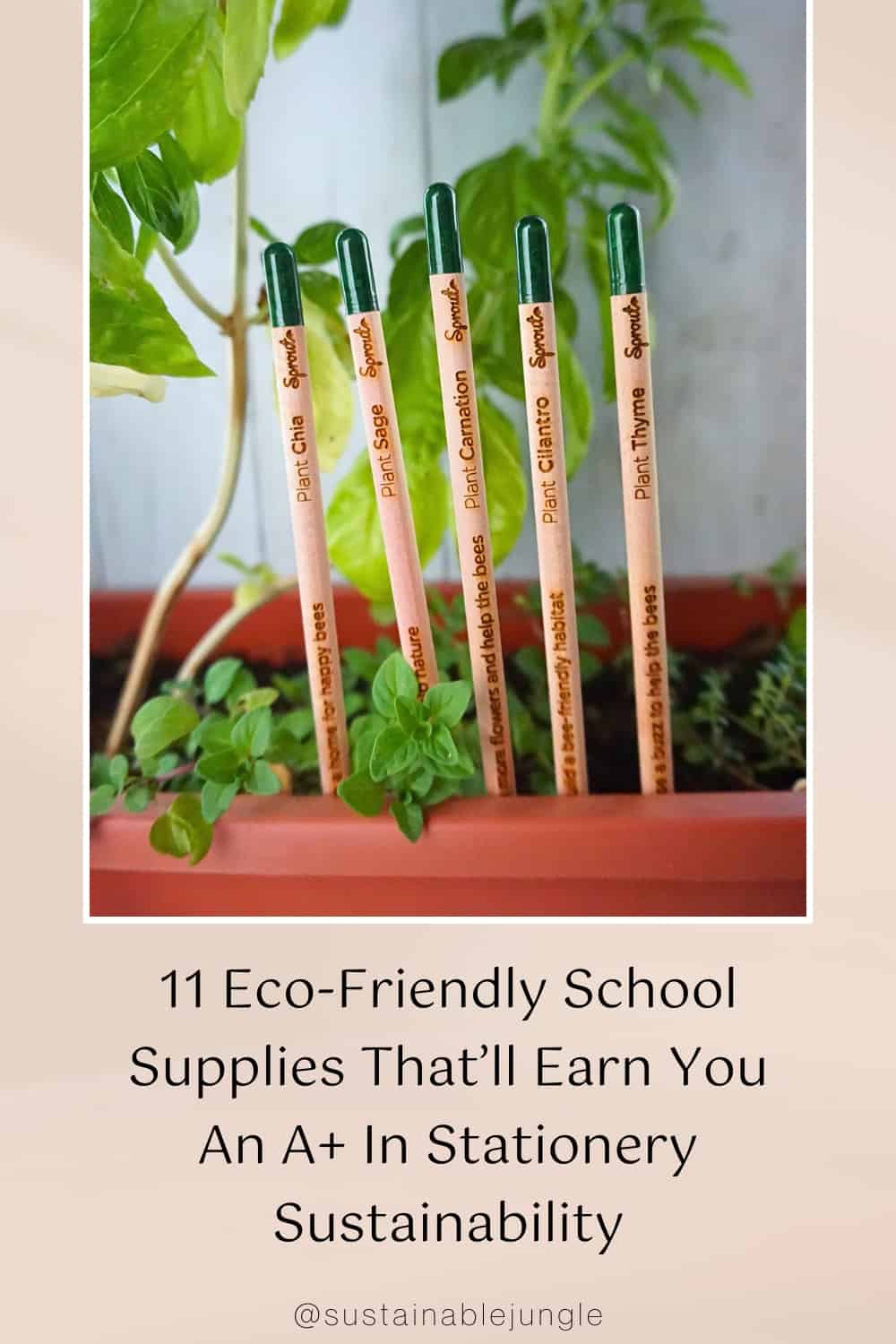 11 Eco-Friendly School Supplies That’ll Earn You An A+ In Stationery Sustainability Image by Sustainable Jungle #ecofriendlyschoolsupplies #ecofriendlystationery #sustainableschoolsupplies #sustainablebacktoschoolsupplies #sustainablestationerybrands #sustainablejungle