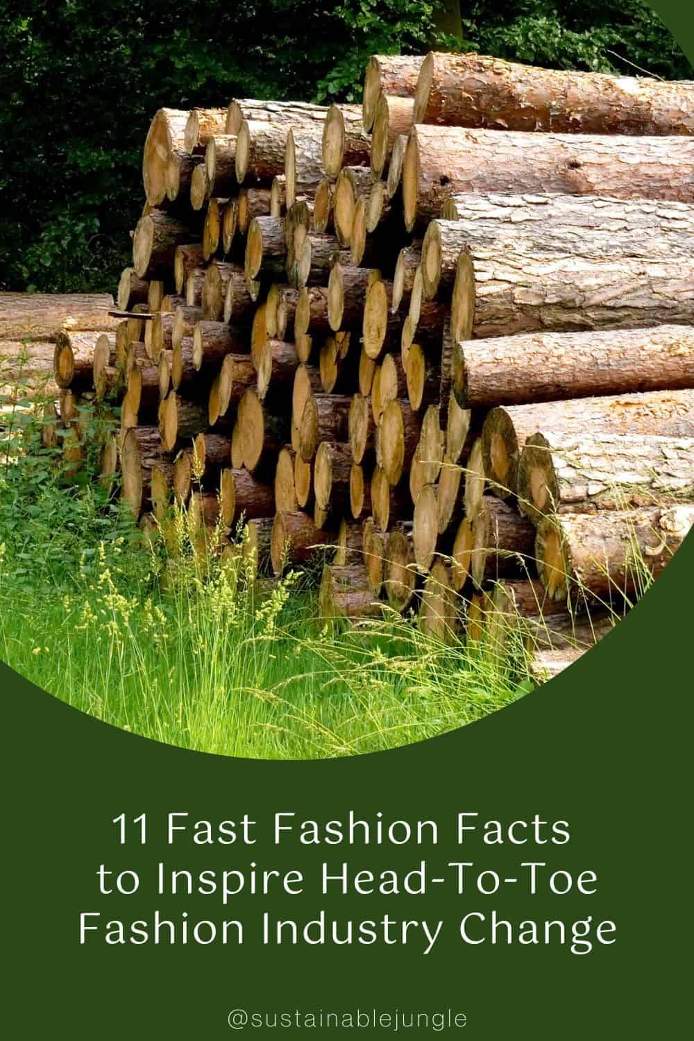 11 Fast Fashion Facts to Inspire Head-To-Toe Fashion Industry Change Image by andrewvee #fastfashionfacts #factsaboutfastfashion #fastfashionstatistics #fastfashionpollutionstatistics #fastfashionwastefacts #sustainablejungle
