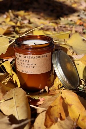 9 Vegan Candles for a Cruelty Free Home Image by Paddywax Candles #vegancandles #sustainablejungle