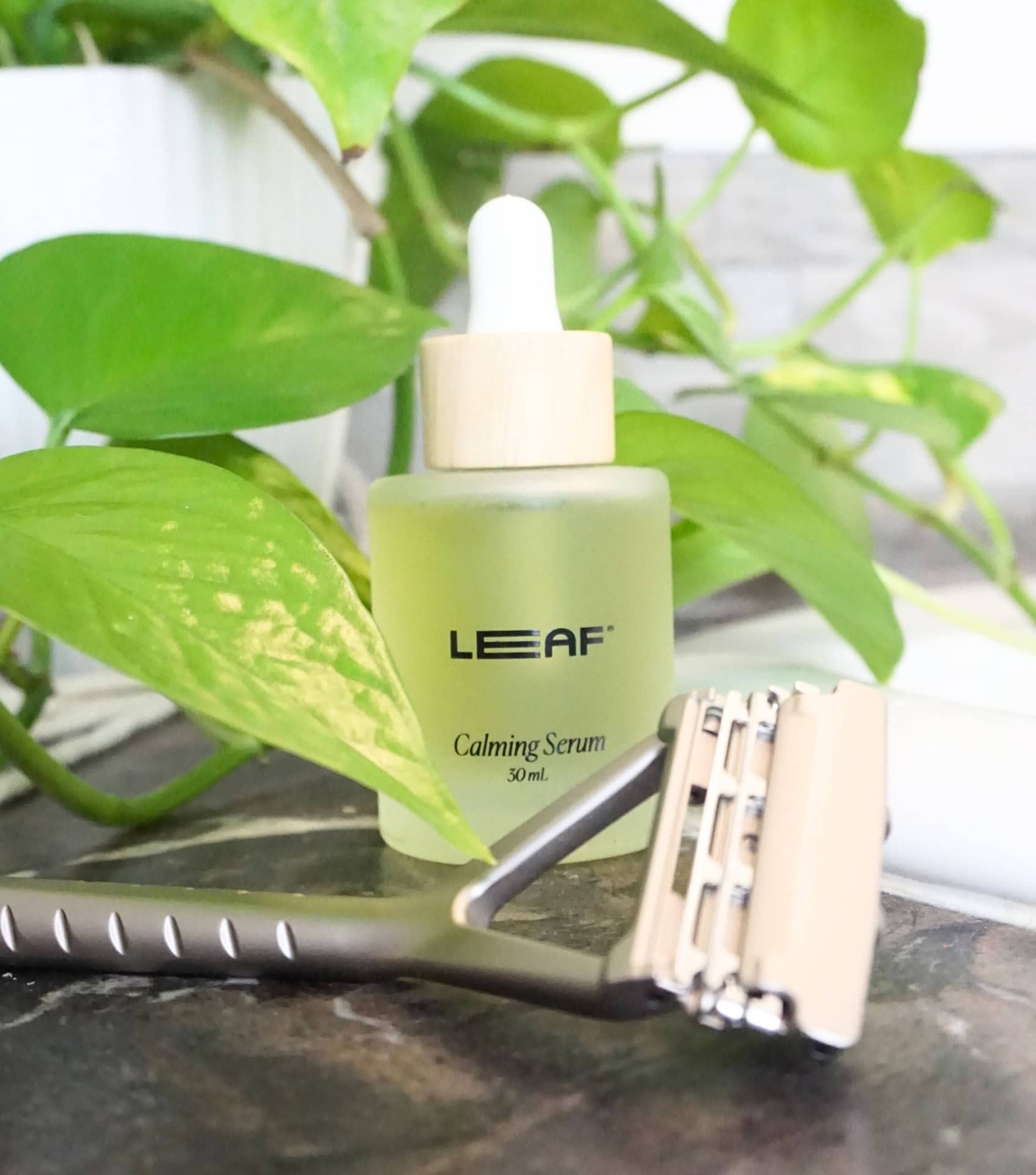 Image by Sustainable Jungle (Leaf Shave) (eco-friendly-gifts)