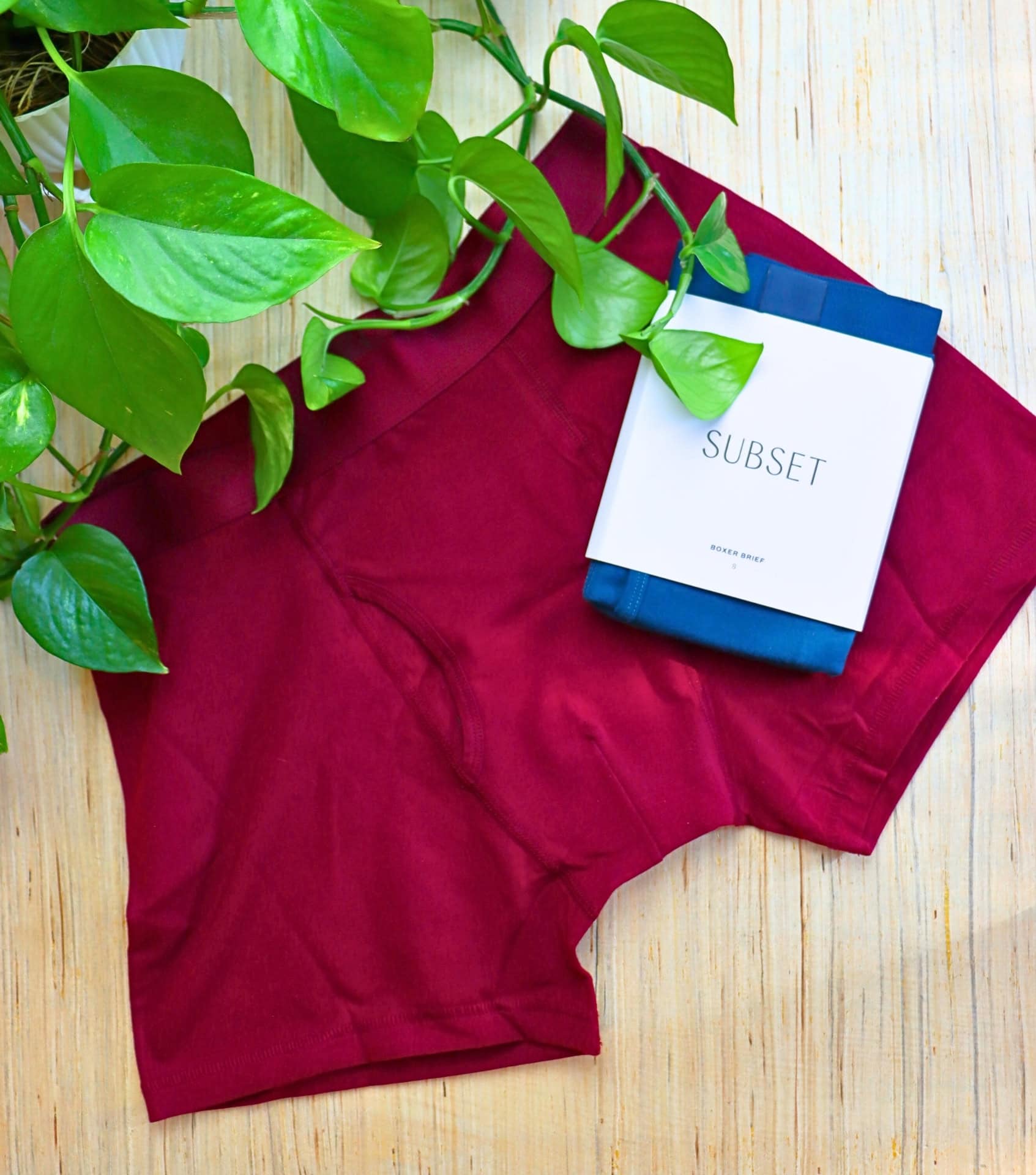 Image by Sustainable Jungle (Subset) (eco-friendly-gifts)