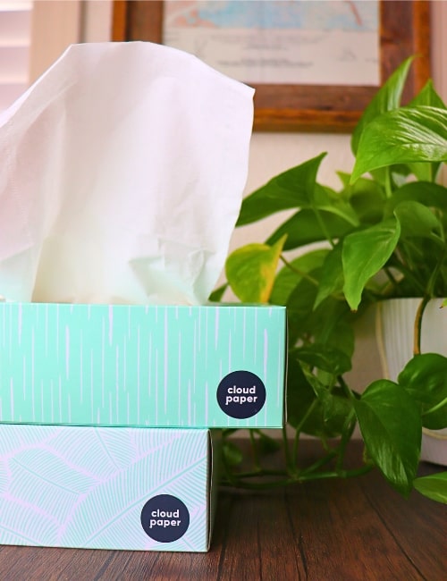 9 Eco-Friendly Tissues To Sustainably Stop Your SnotImage by Sustainable Jungle#ecofriendlytissues #bestecofriendlyfacialtissues #sustainabletissues #sustainabletissuealternatives #reusabletissues #sustainablejungle