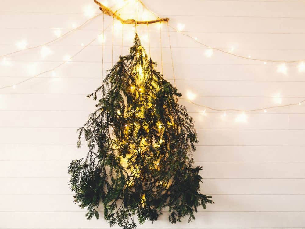 Pine, Fir, Or PVC: What’s The Most Sustainable Christmas Tree? Image by bogdan sonjachnyj #sustainablechristmastrees #sustainablefakechristmastrees #sustainablechristmastreeideas #ecofriendlychristmastree #ecofriendlychirstmastreealternatives #sustainablejungle