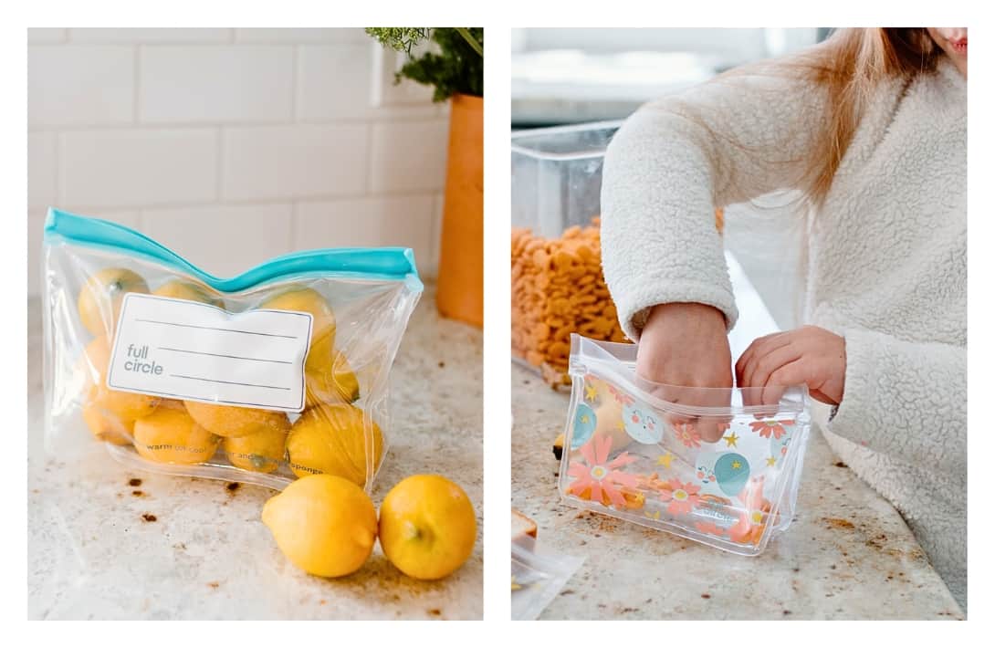 Fruit Reusable Snack and Sandwich Bags, Set of 4, Oranges