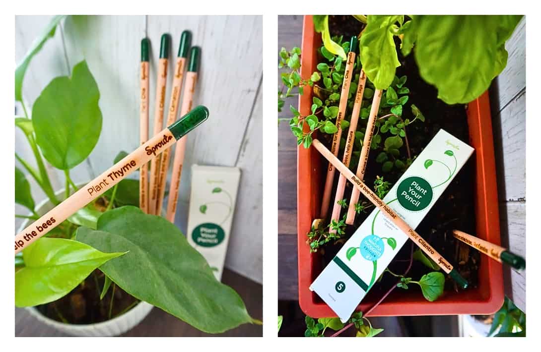 11 Eco-Friendly School Supplies That’ll Earn You An A+ In Stationery Sustainability Images by Sustainable Jungle #ecofriendlyschoolsupplies #ecofriendlystationery #sustainableschoolsupplies #sustainablebacktoschoolsupplies #sustainablestationerybrands #sustainablejungle