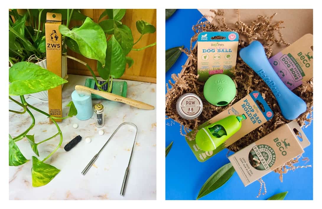 Green Feels: Sustainable & Plastic free Lifestyle Online Store