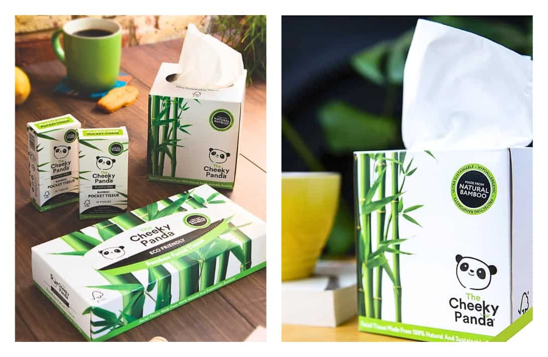 9 Eco-Friendly Tissues To Sustainably Stop Your Snot Images by The Cheeky Panda #ecofriendlytissues #bestecofriendlyfacialtissues #sustainabletissues #sustainabletissuealternatives #reusabletissues #sustainablejungle