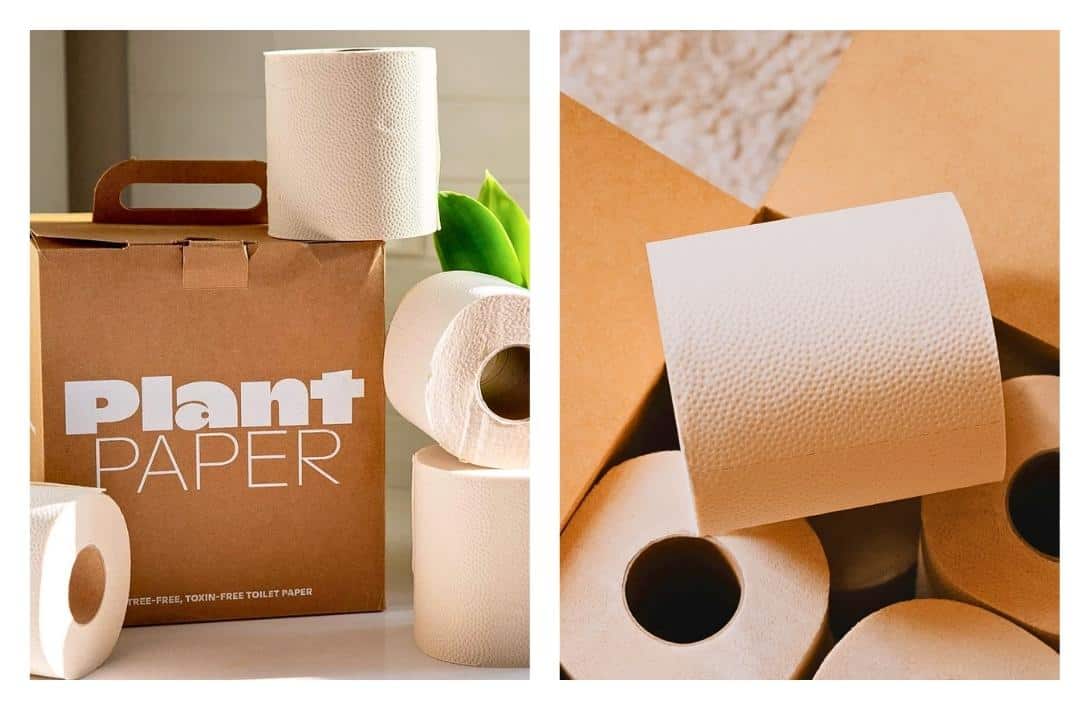 7 Best NonToxic Toilet Paper Brands For A More Organic Tush