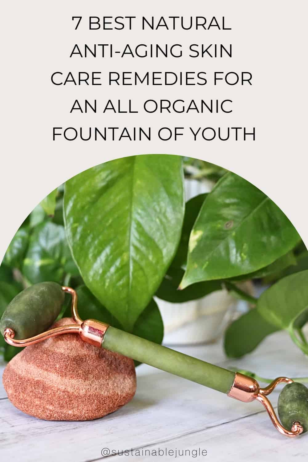 7 Best Natural Anti-Aging Skin Care Remedies For an All Organic Fountain of Youth Image by Sustainable Jungle #naturalantiagingskincare #bestnaturalantiagingskincare #beatantiagingingredients #allnaturalantiagingskincare #bestnaturalskincareforantiaging #sustainablejungle