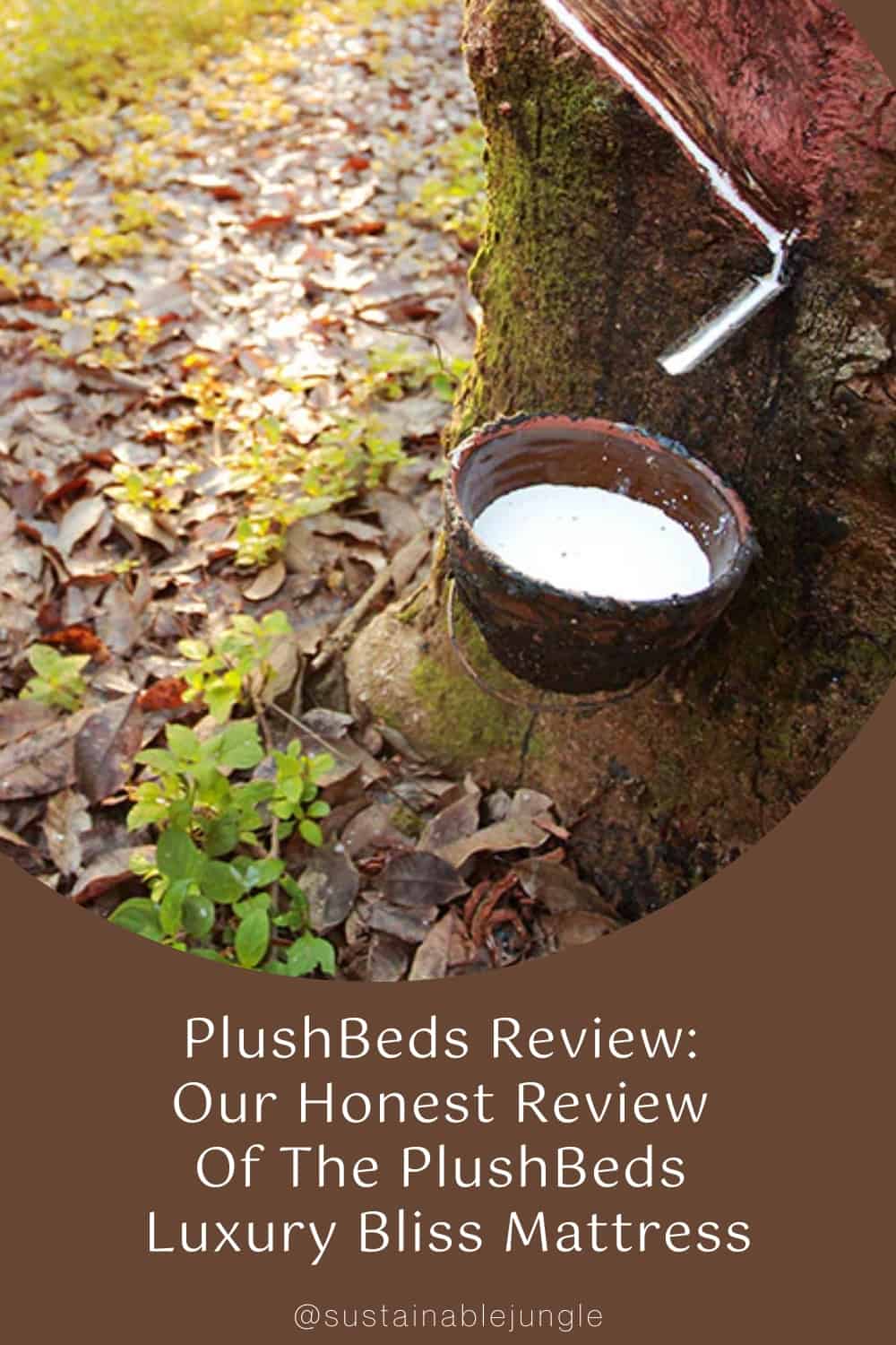 PlushBeds Review: Our Honest Review Of The PlushBeds Luxury Bliss Mattress Image by PlushBeds #plushbedsreview #plushbedsmattressreview #plushbedsluxuryblissreview #plushbedsmattress #plushbedslatexmattress #plushbedsrating #sustainablejungle