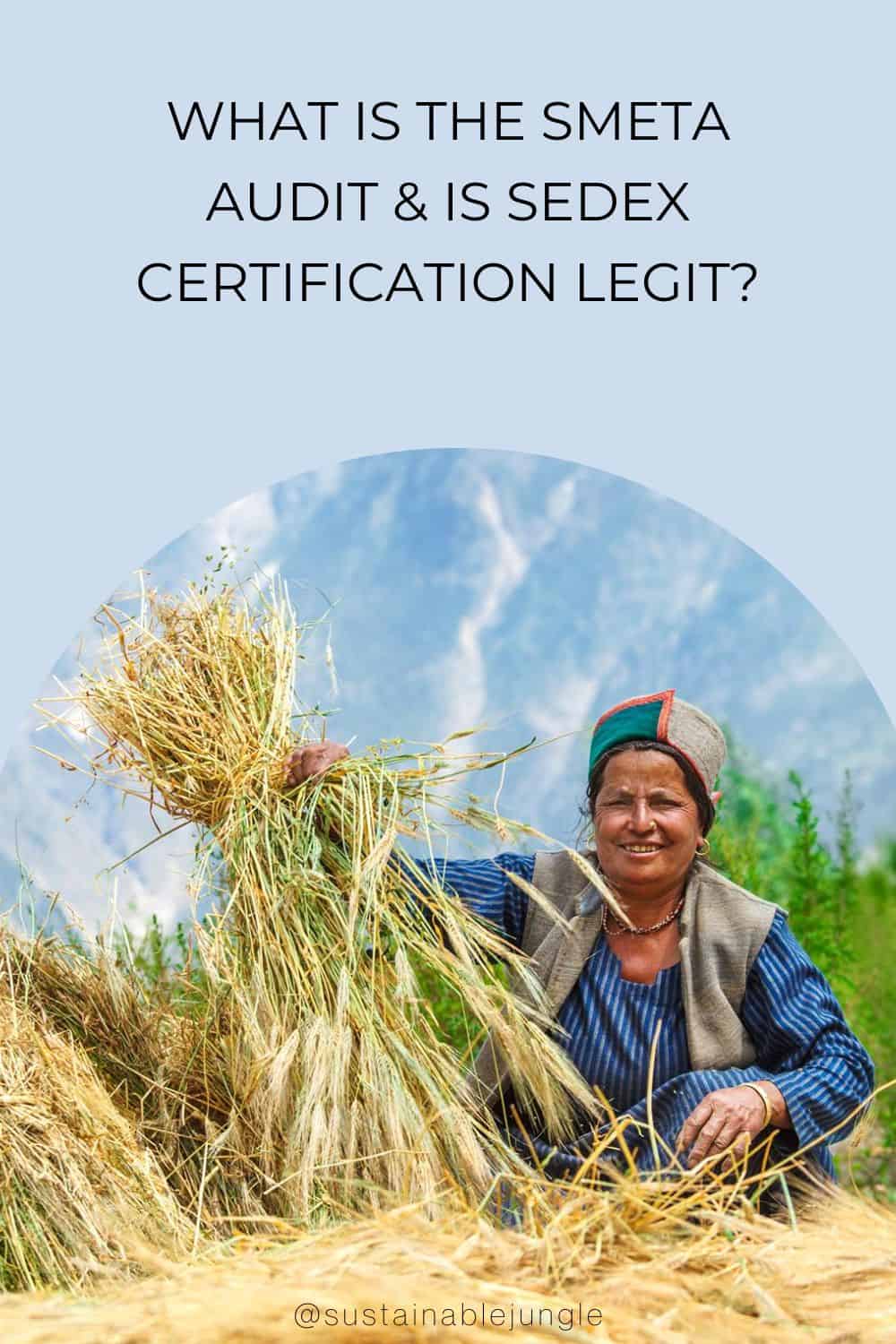 What Is The SMETA Audit & Is Sedex Certification Legit? Image by Sedex #SMETAaudit #SMETAauditchecklist #sedexcertification #whatissedexcertification #sedexcertified #SMETAcertification #sustainablejungle