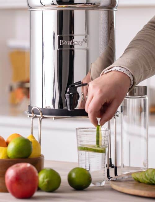 7 (Mostly) Plastic-Free Water Filters Making Waves In Eco-Friendly Hydration Image by Berkey #plasticfreewaterfilter #bestplasticfreewaterfilters #nonplasticwaterfilters #bestnonplasticwaterfilter #waterfilterwithoutplastic #sustainablejungle