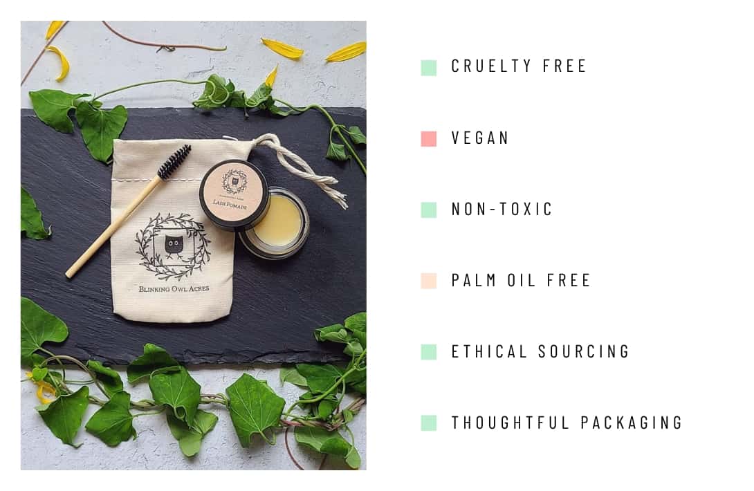9 Non-Toxic Makeup Brands For A Clean Beauty Routine Image by Blinking Owl Acres #nontoxicmakeup #nontoxiccosmetics #nontoxicmakeupbrands #cleanmakeupbrands #bestnontoxicmakeup #cleanestmakeupbrands #sustainablejungle
