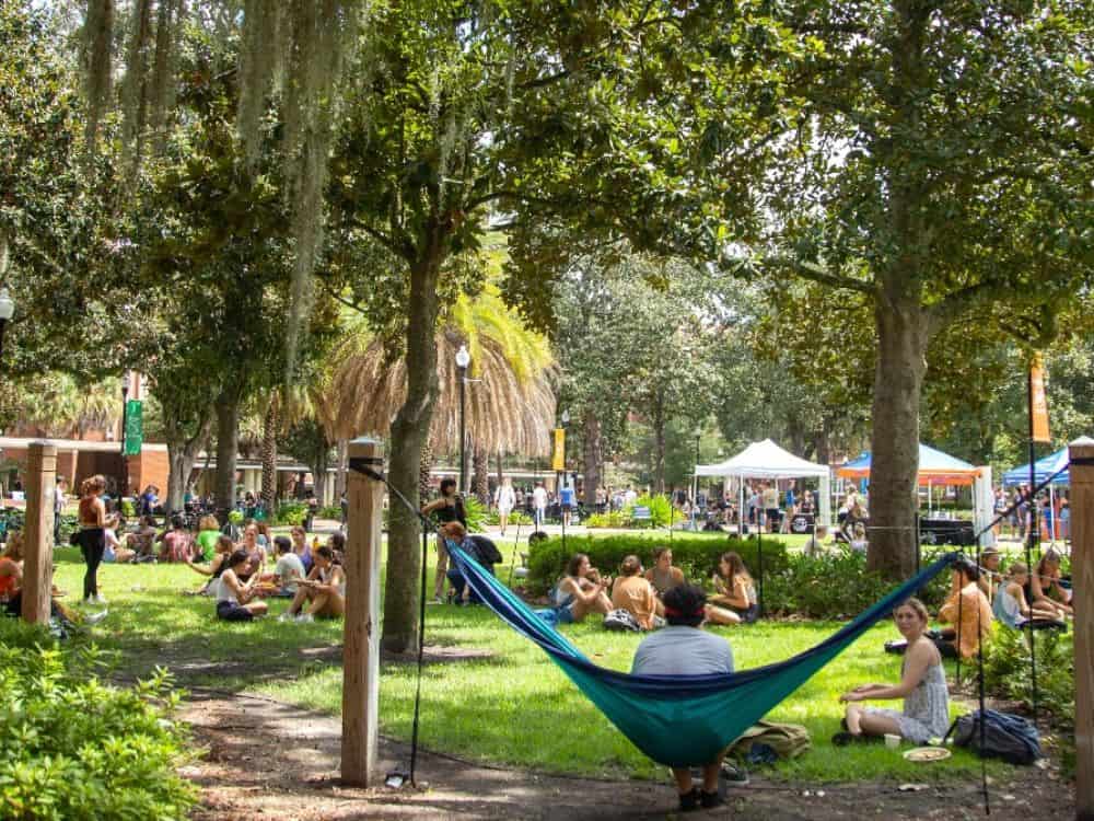 9 Best Masters In Sustainability For Outstanding Environmental Education Image by University of Florida #master'sinsustainability #bestmaster'sinsustainability #sustainabilitymaster's #sustainabilitymaster'sprograms #bestsustainabilitymaster'sprograms #sustainablejungle