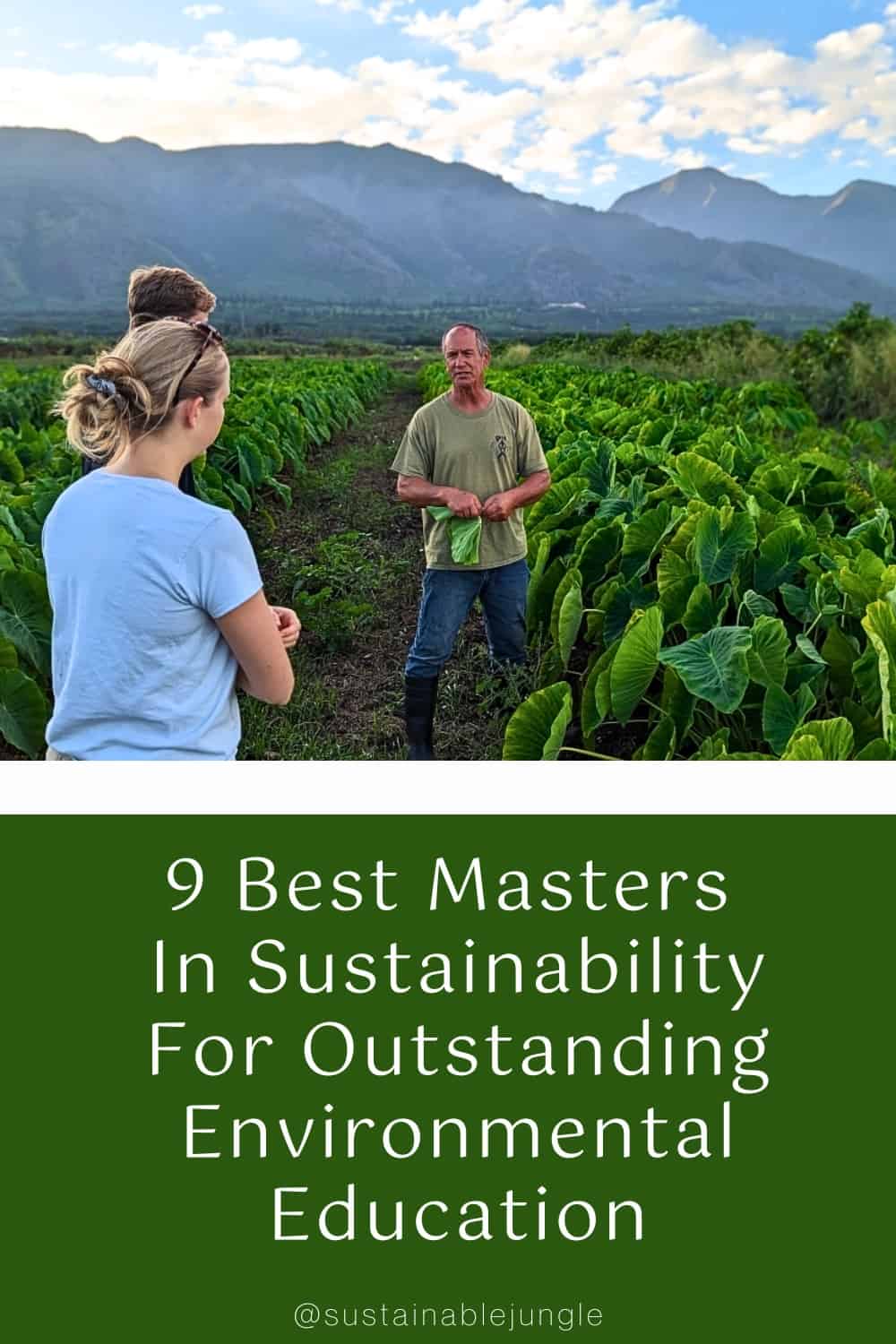 9 Best Masters In Sustainability For Outstanding Environmental Education Image by Arizona State University #master'sinsustainability #bestmaster'sinsustainability #sustainabilitymaster's #sustainabilitymaster'sprograms #bestsustainabilitymaster'sprograms #sustainablejungle