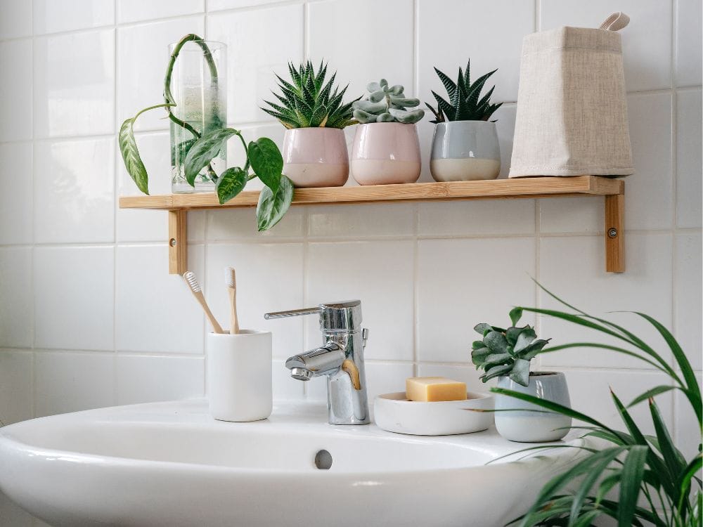 House Full of Plants: Tips For Creating Your An Indoor Oasis Image by katecat #housefullofplants #plantfilledhouse #houseswithplants #housewithplants #houseofplants #roomwithplants #sustainablejungle